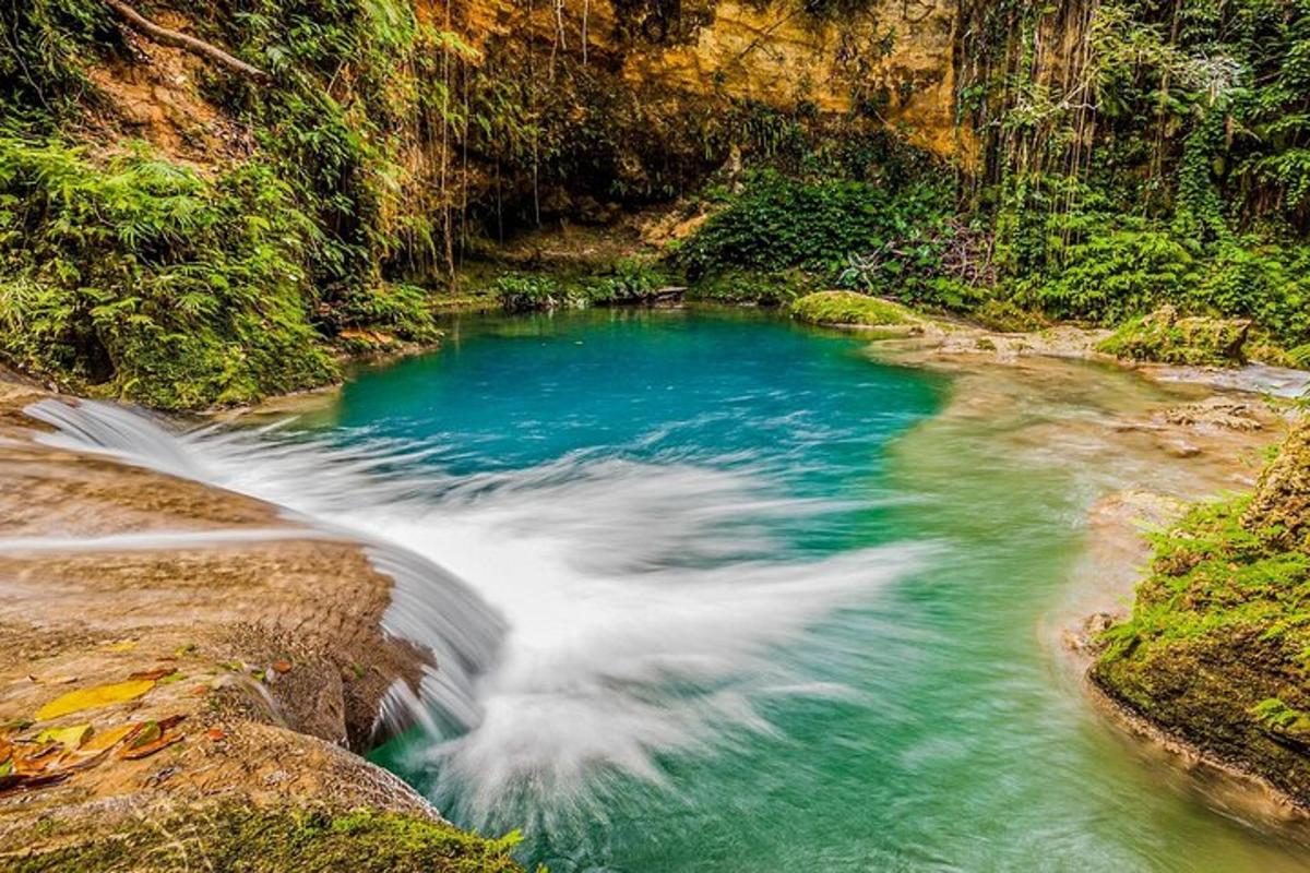 een rivier met stroomversnellingen in een bos