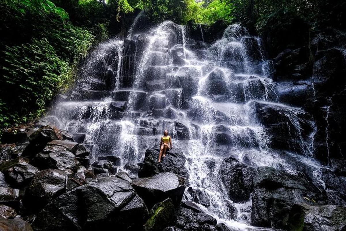 un home dret davant d'una cascada
