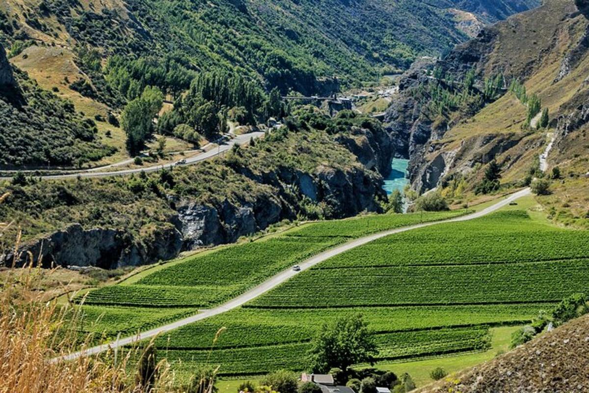 en svingete vei gjennom en fjelldal med grønne avlinger