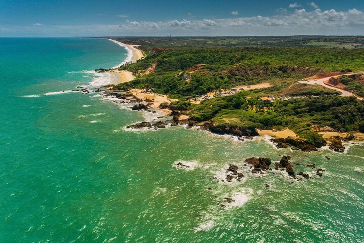 an aerial view of a beach and the ocean