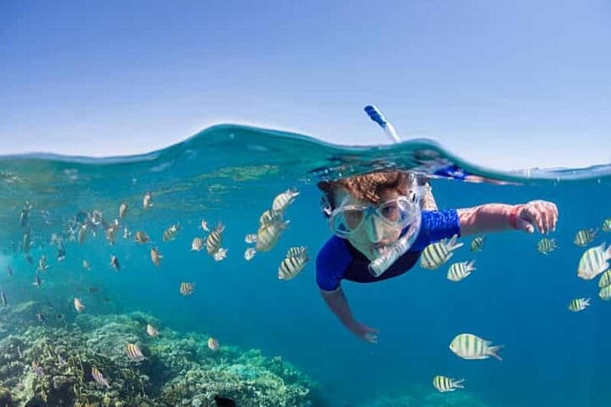 una persona sta nuotando nell'oceano con i pesci