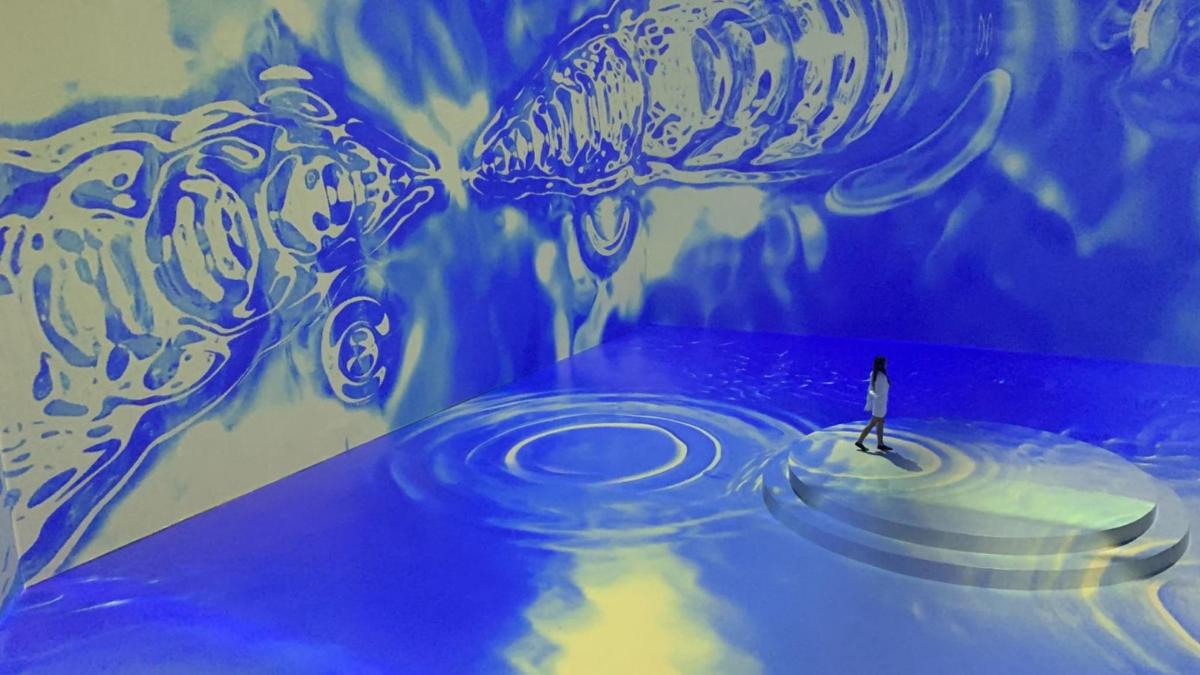 Una persona parada frente a un cuadro de dos medusas.