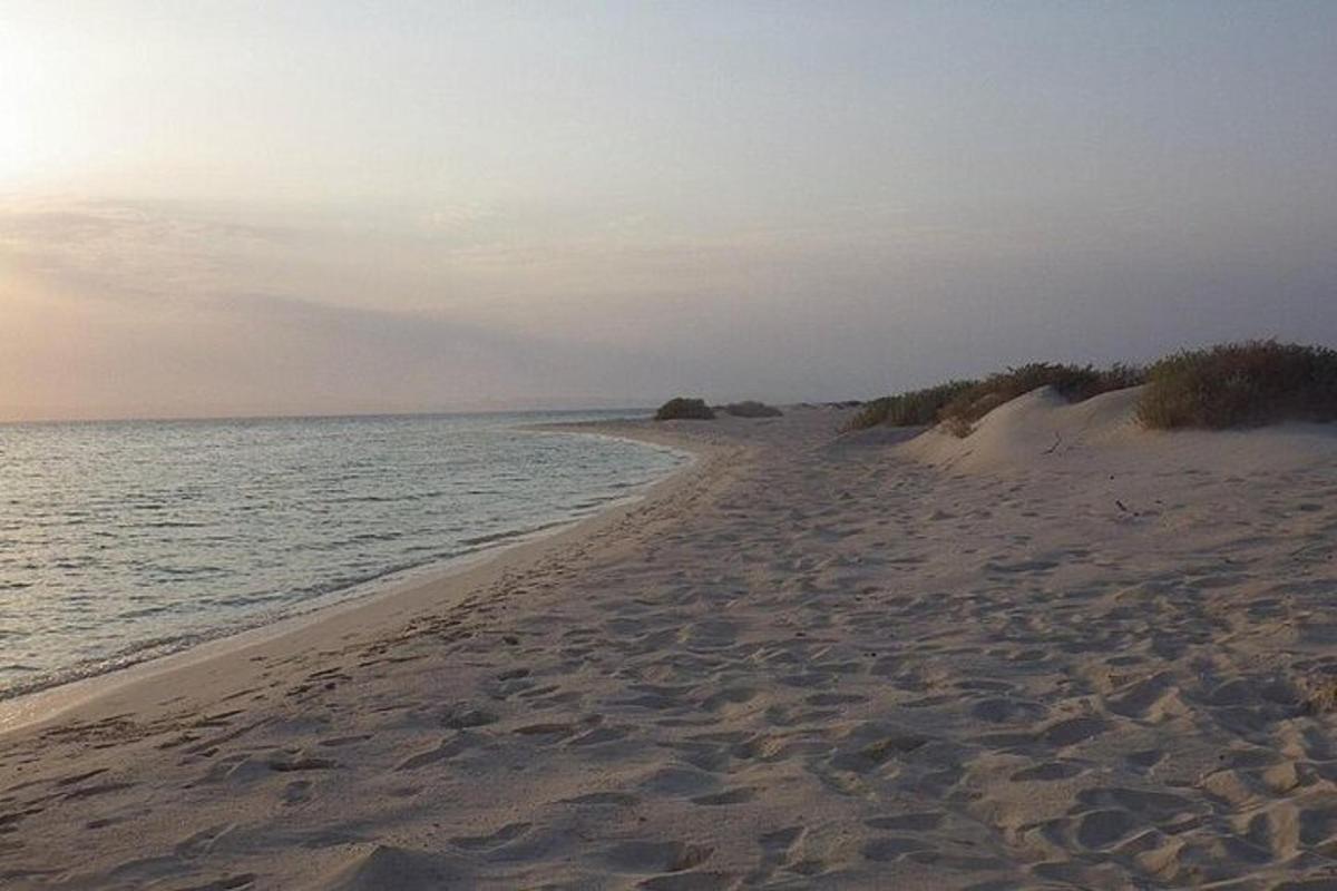 una spiaggia con impronte nella sabbia e nell'acqua
