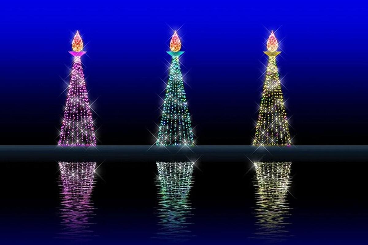 a group of three christmas trees reflecting in the water