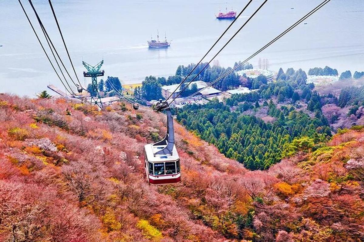 una gondola che vola sopra una collina con alberi colorati