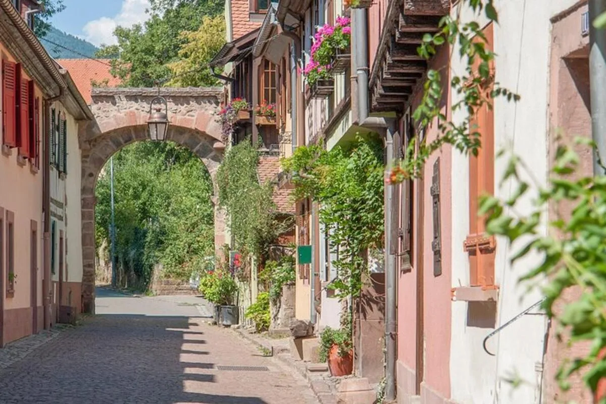 Rallye Voiture Insolite sur la Route des Vins d'Alsace – photo 2