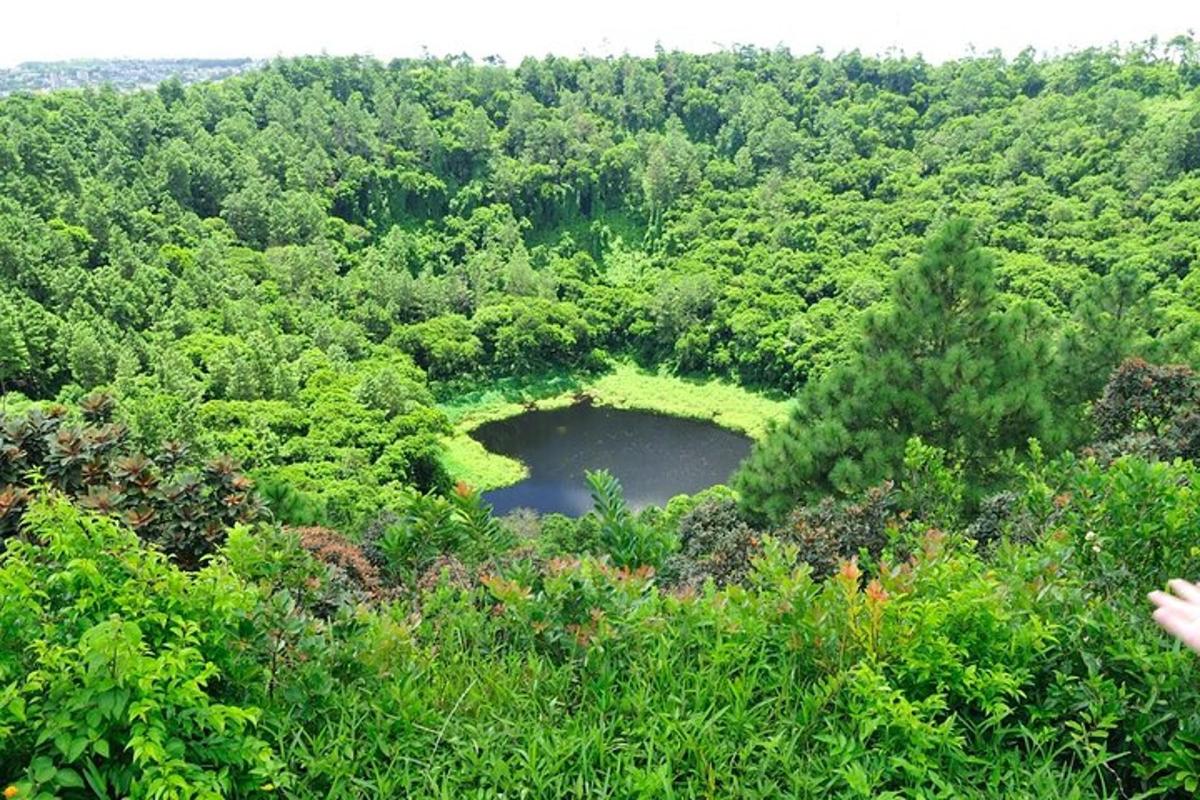 zračni pogled na ribnik sredi gozda