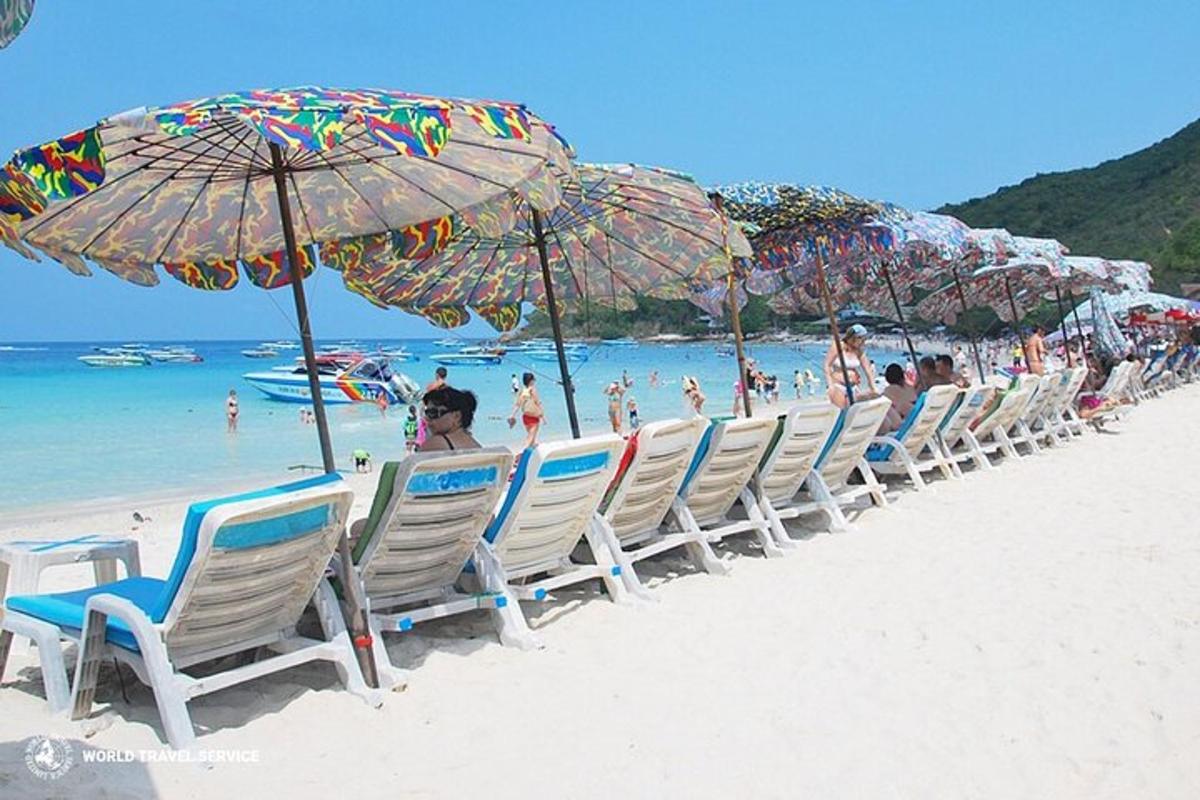 rząd krzeseł i parasoli na plaży