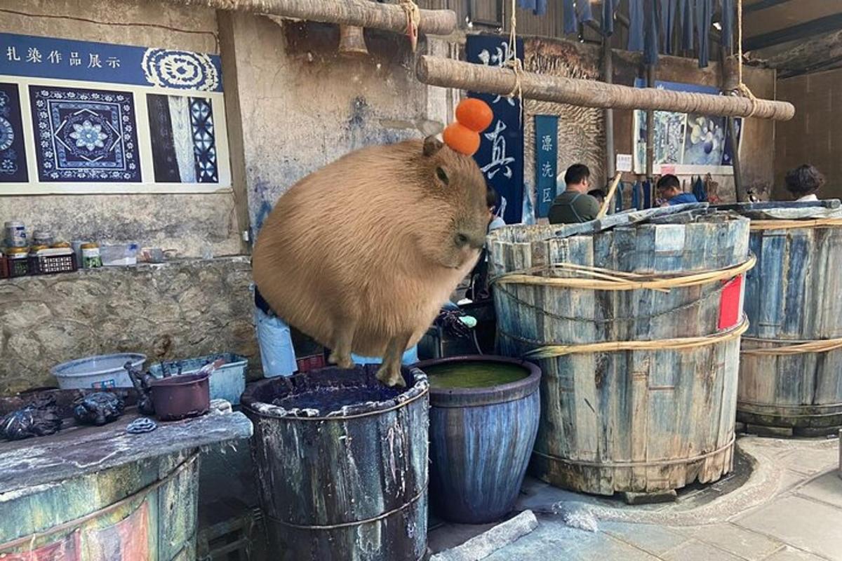 en stor hamster stående oven på tønder