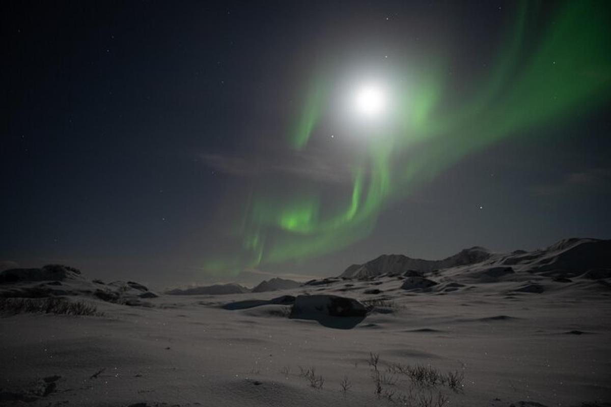 ein Polarlicht am Himmel über einem schneebedeckten Feld