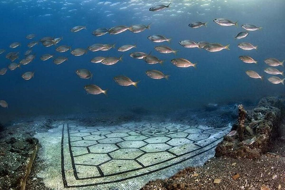 um cardume de peixes nadando no oceano