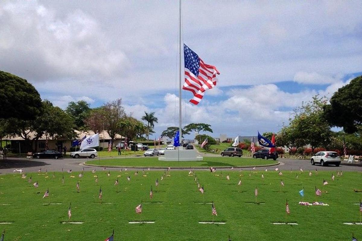 park z ameriško zastavo in poljem ptic