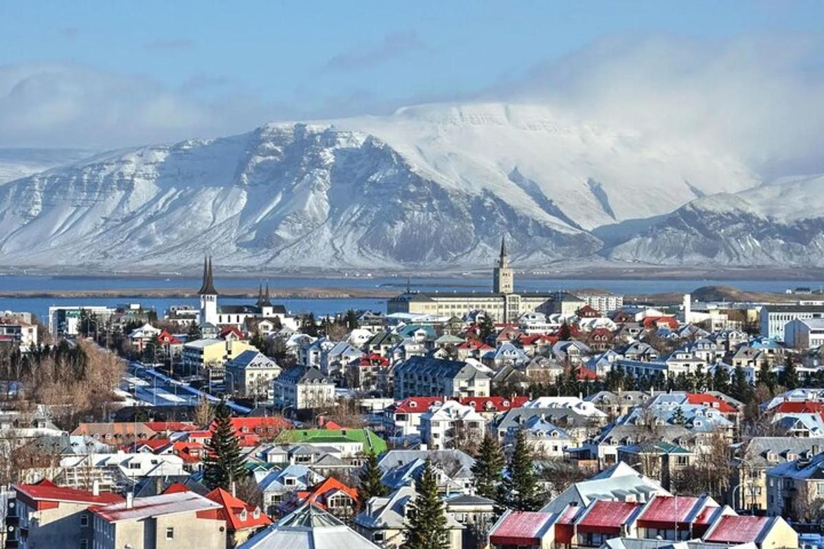 una ciudad con una montaña nevada al fondo