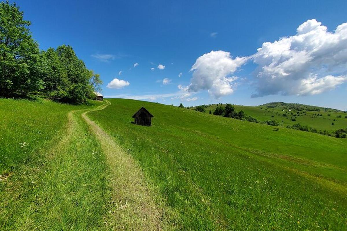 a grassy hill with a barn in the middle of a field