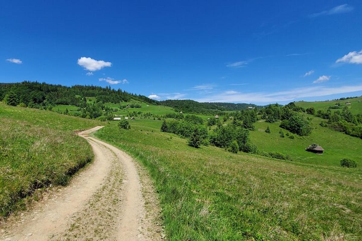 a dirt road in the middle of a field