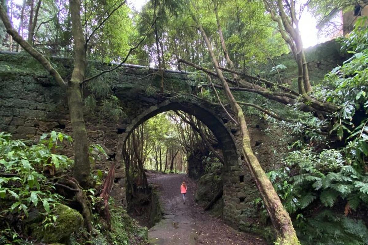 a person walking down a path under a stone bridge