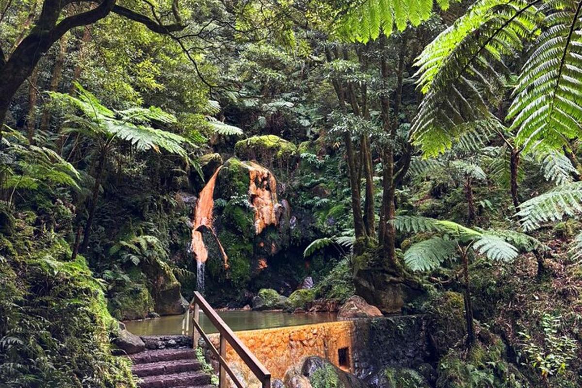 a waterfall in the middle of a forest with stairs