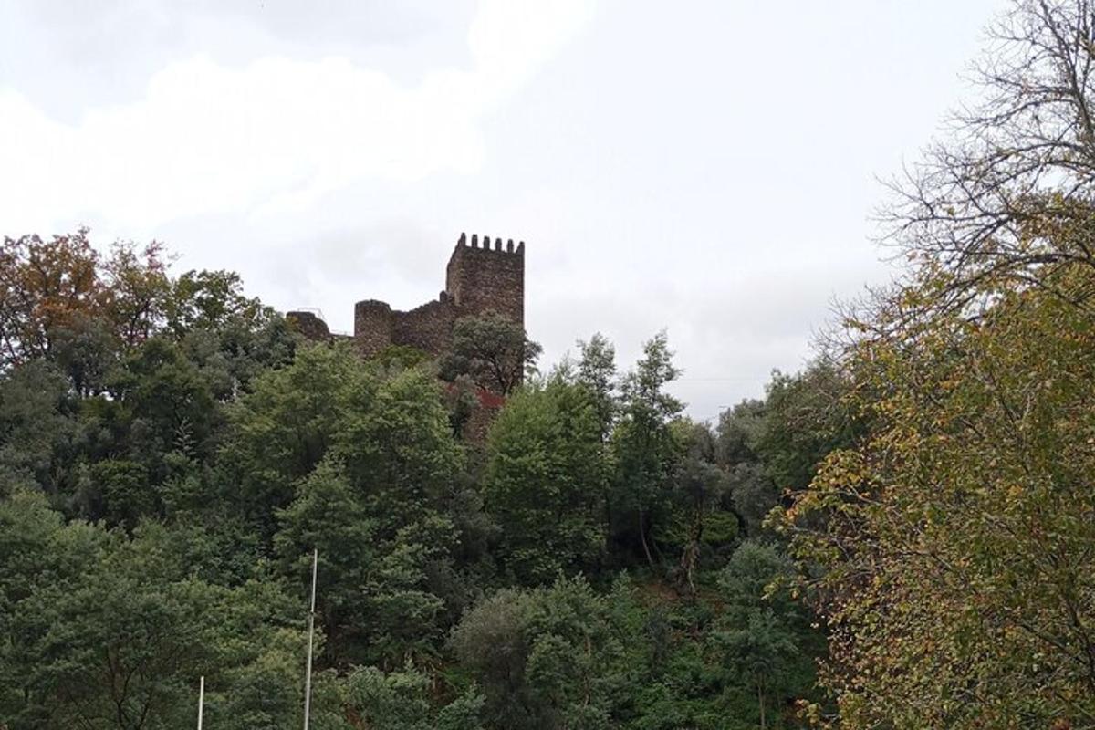 um castelo no topo de uma colina com árvores