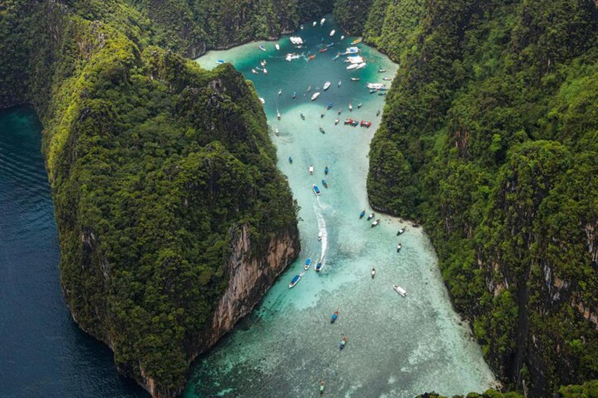 Un grupo de personas en el agua en una playa