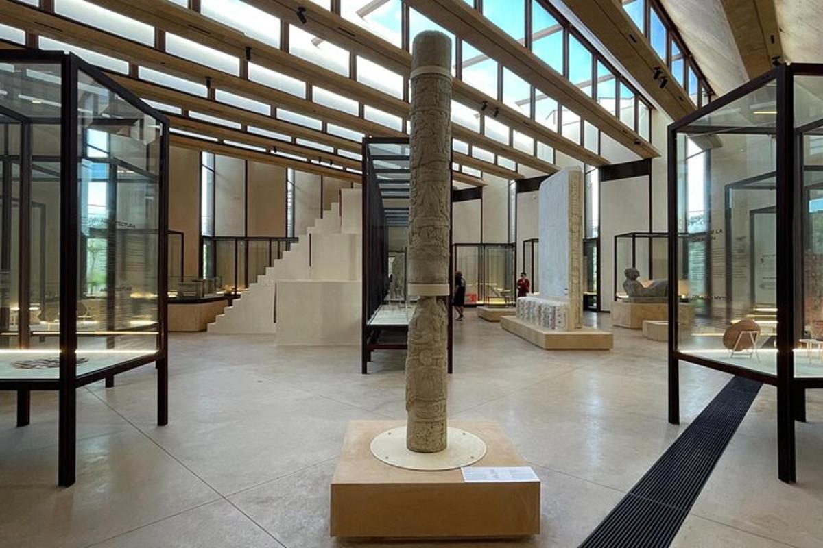 muzeum s palmou uprostřed místnosti