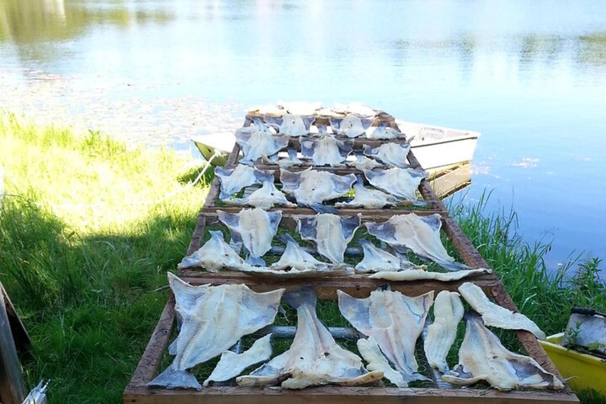 a bunch of fish sitting on a boat in the water