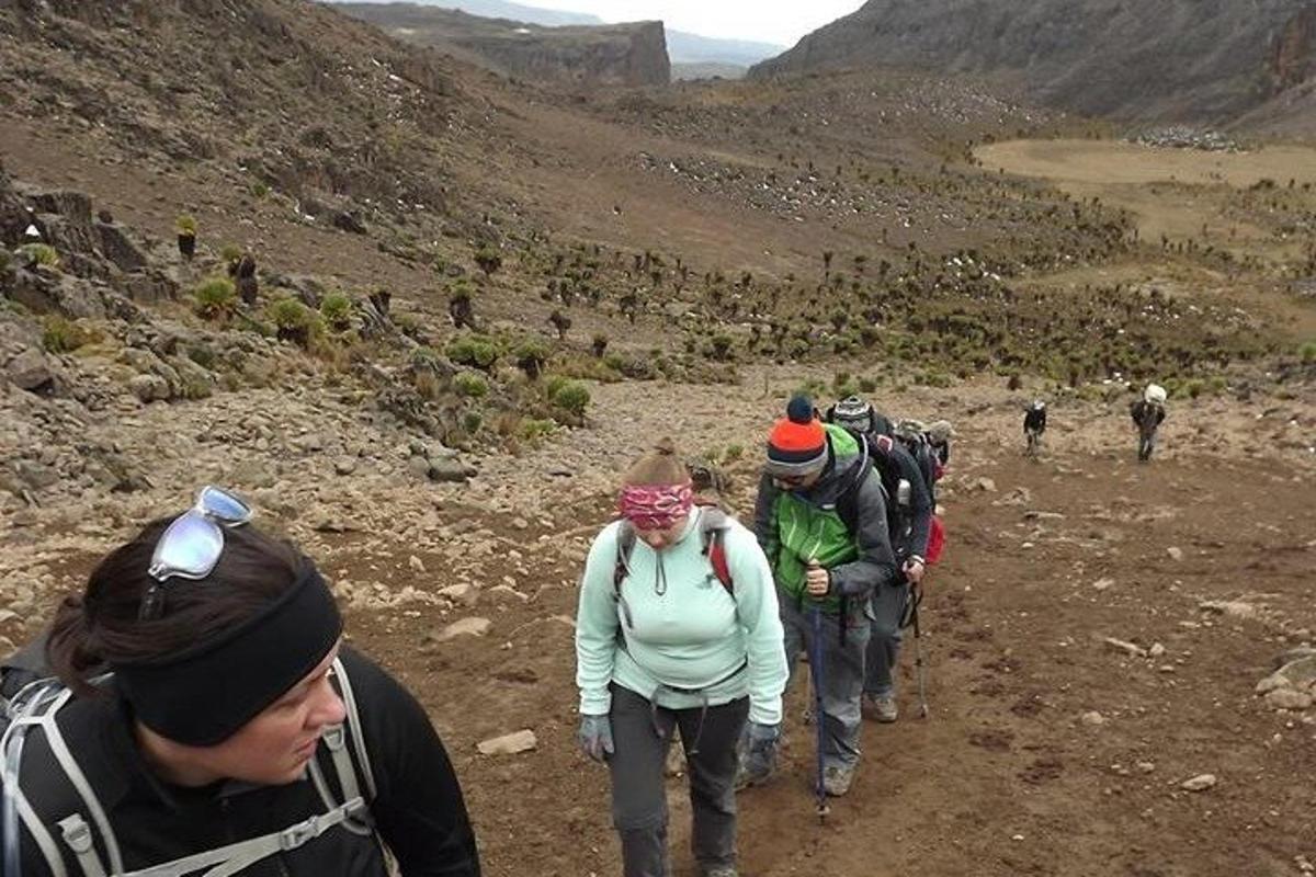 a group of people walking on a mountain trail