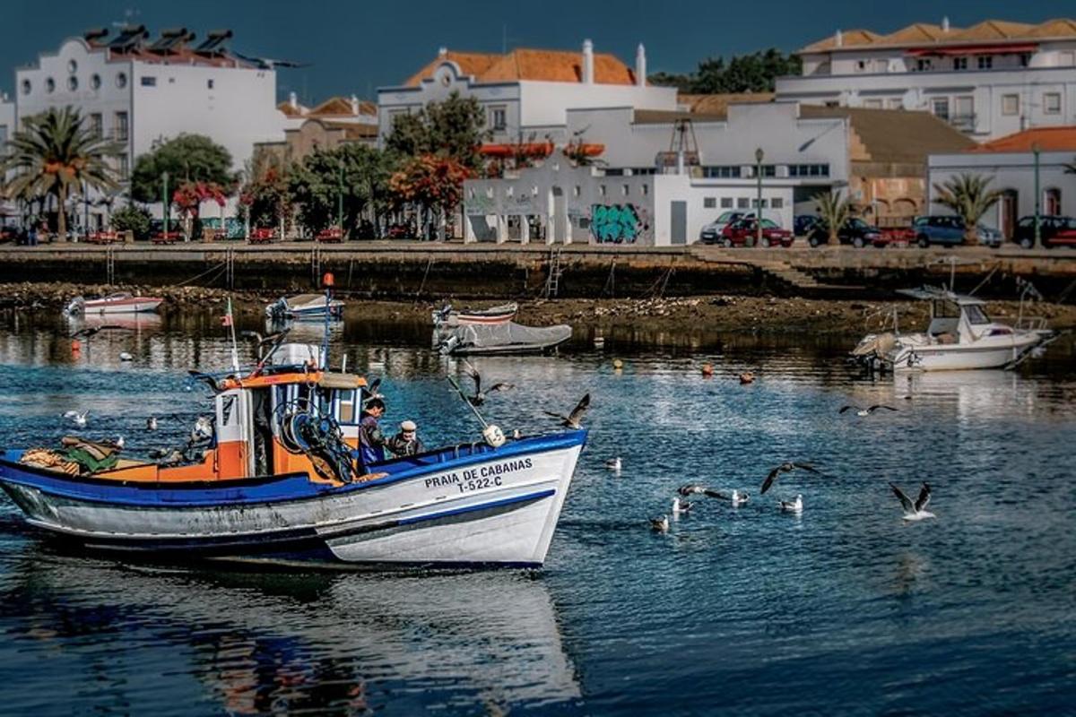 a boat in a body of water with ducks
