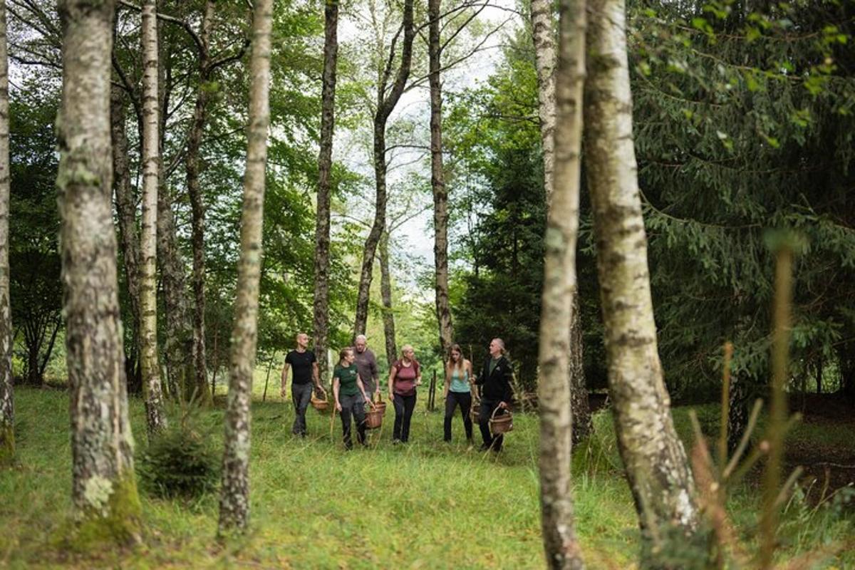 a group of people walking through a forest