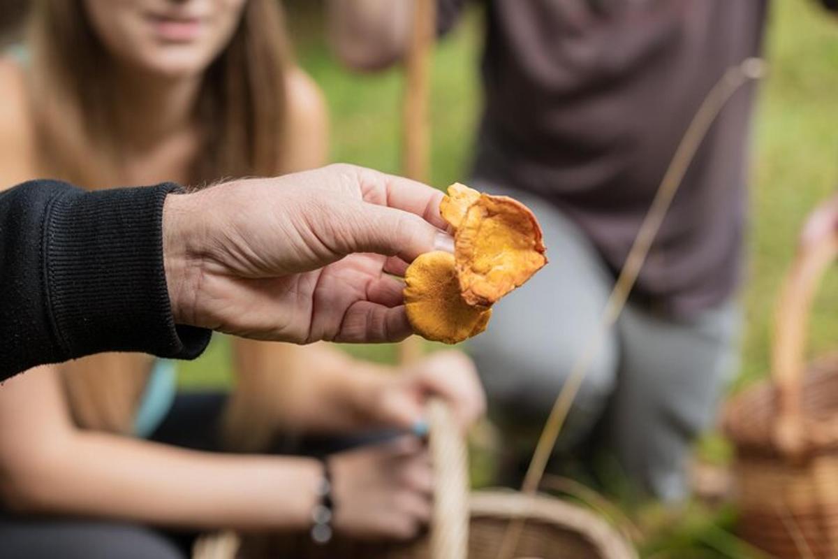 a person holding a piece of food in their hand
