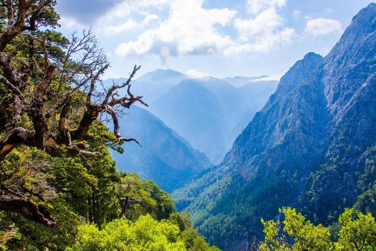 una vista di una valle tra le montagne