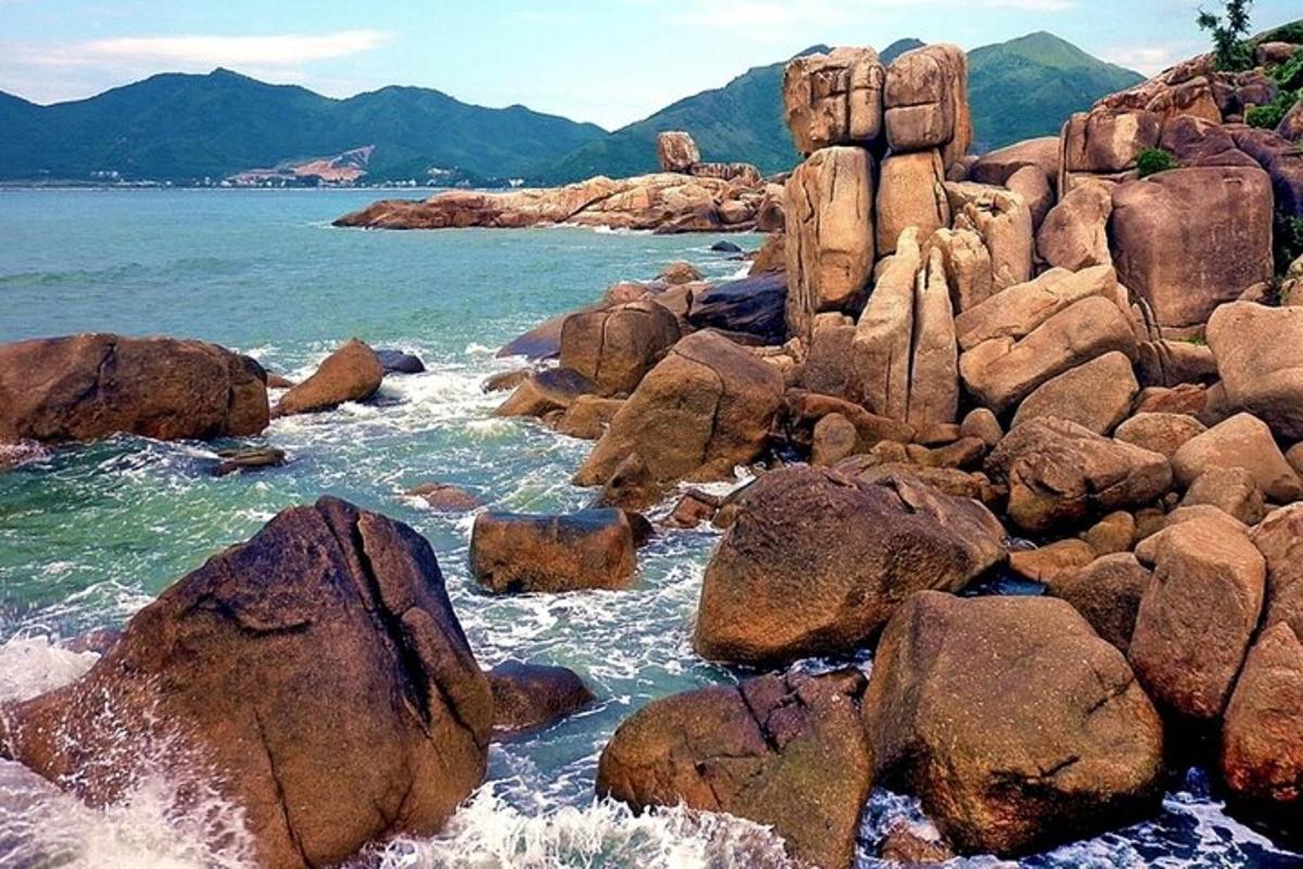 skupina skal v vodi na plaži