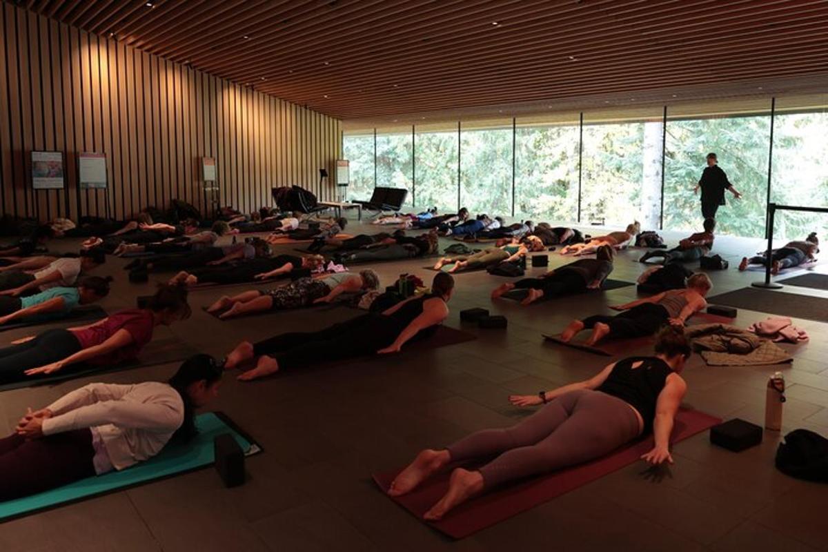 một nhóm lớn người đang tập yoga trong một căn phòng