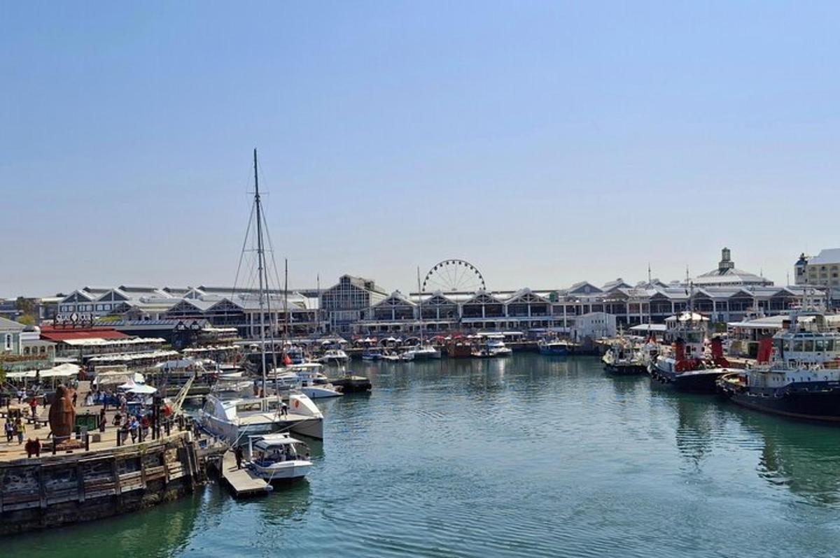 a group of boats docked in a marina