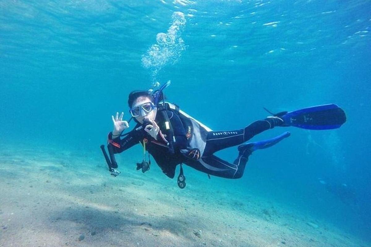 ένα άτομο με στολή κατάδυσης που κολυμπάει στον ωκεανό
