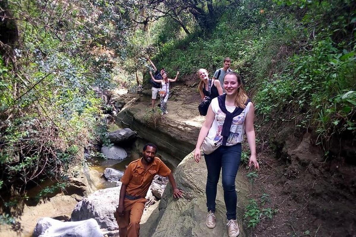 a group of people walking on a trail in a forest