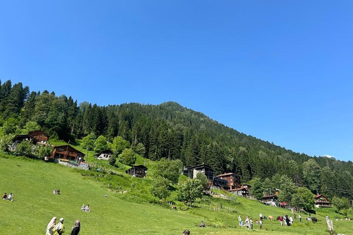 a group of people in a field on a hill