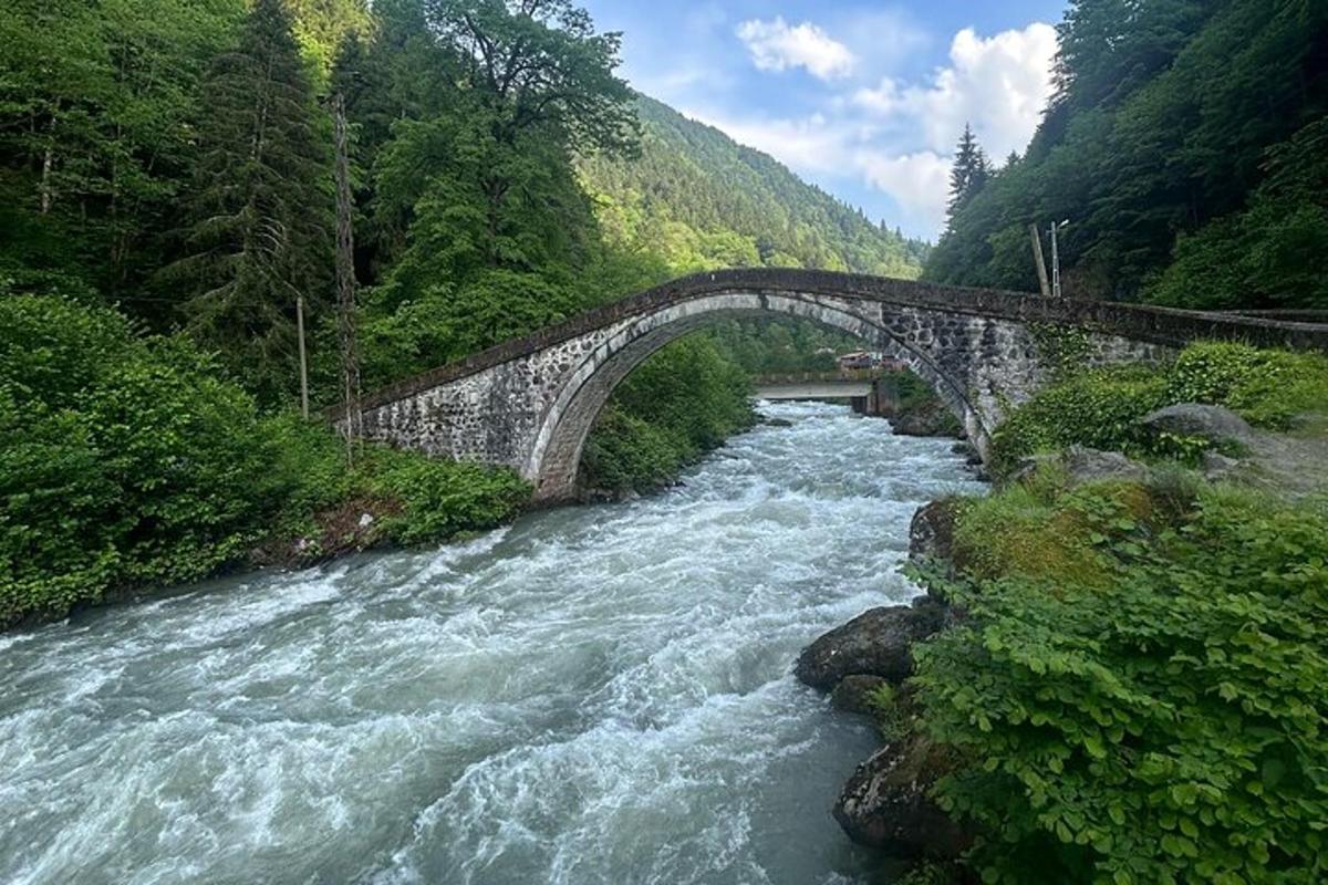 a stone bridge over a river in a forest