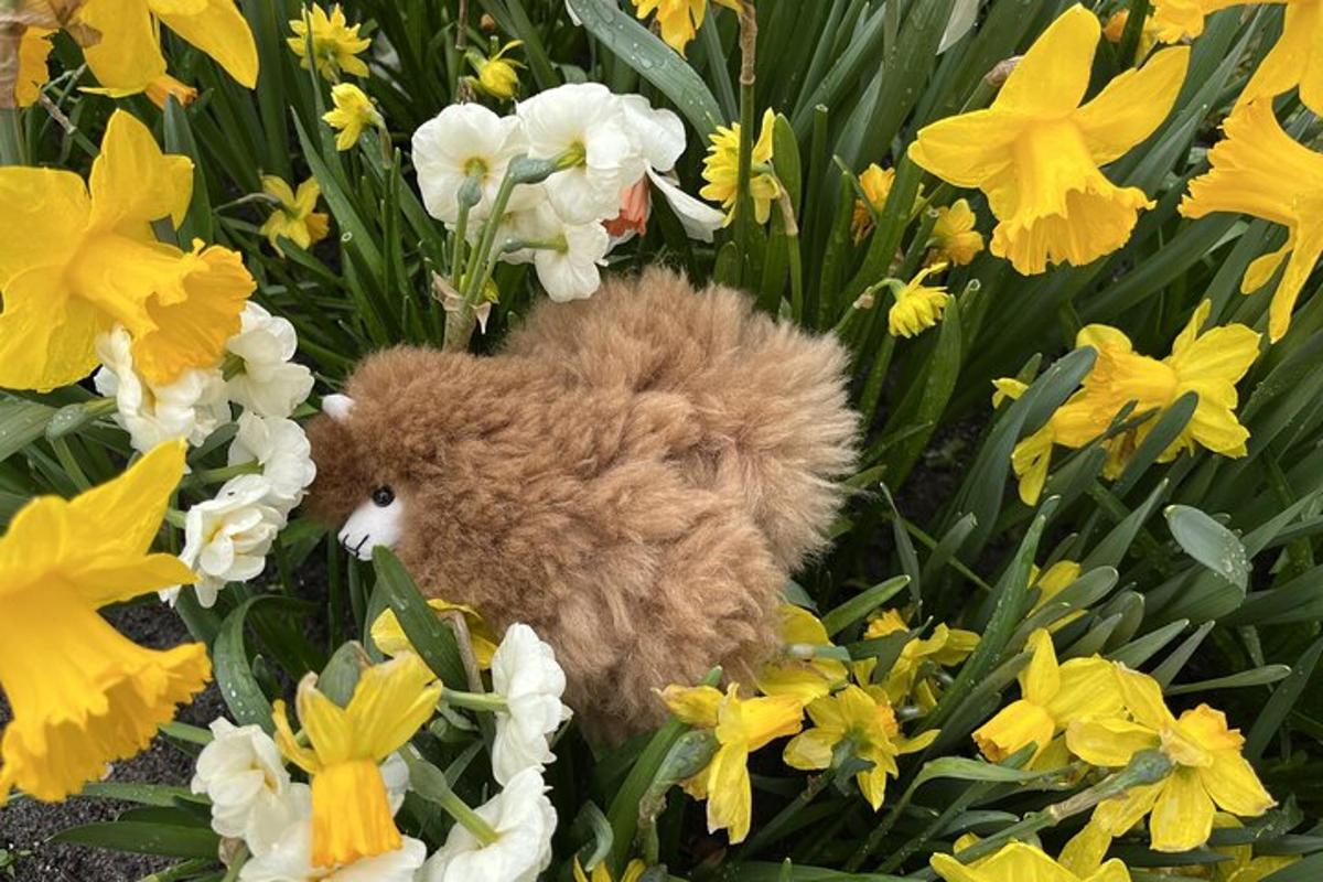 um ursinho de pelúcia marrom sentado em um campo de flores