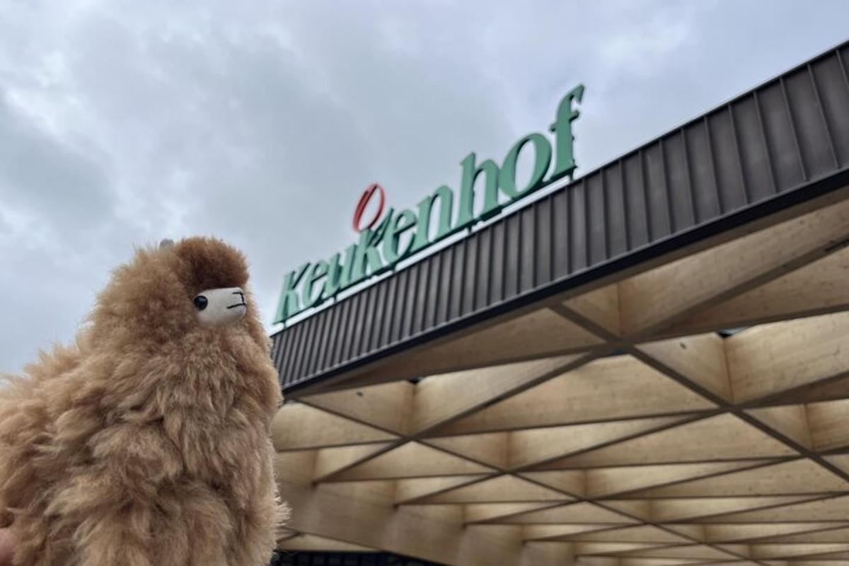 um bicho de pelúcia está parado na frente de uma placa