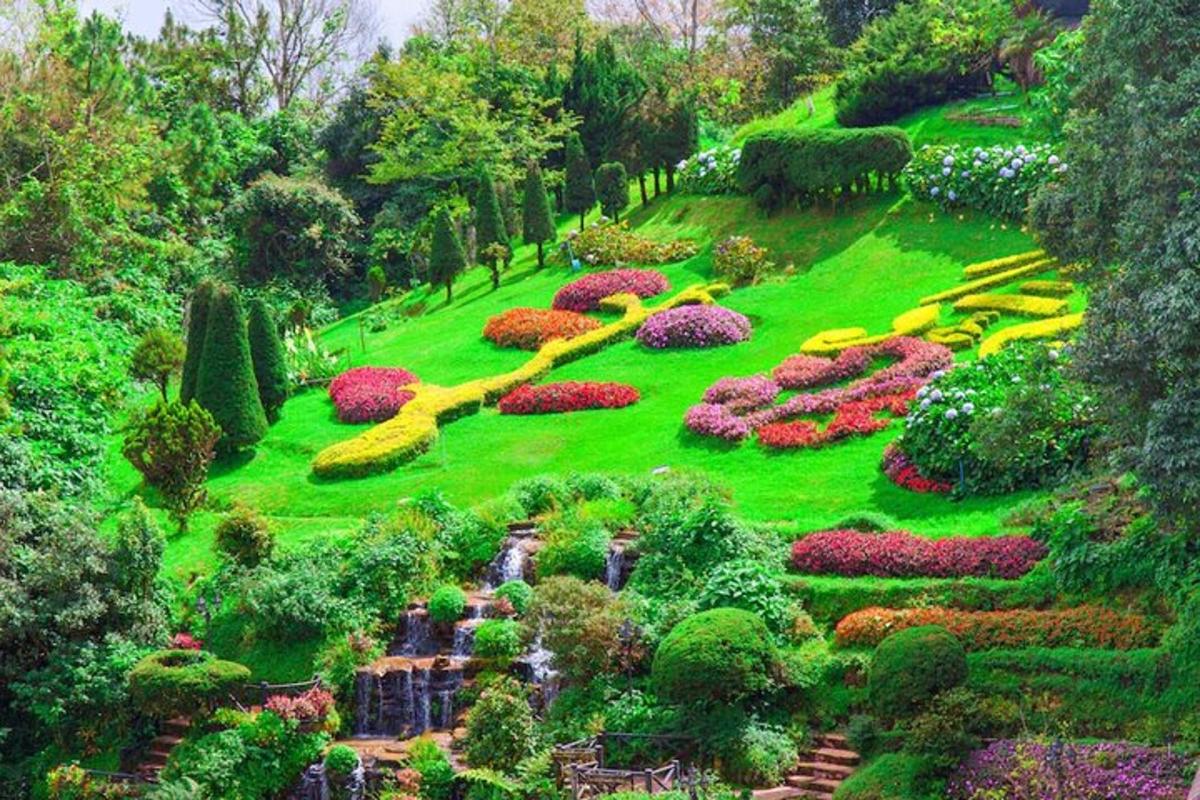 vista superior d'un jardí amb flors i arbres