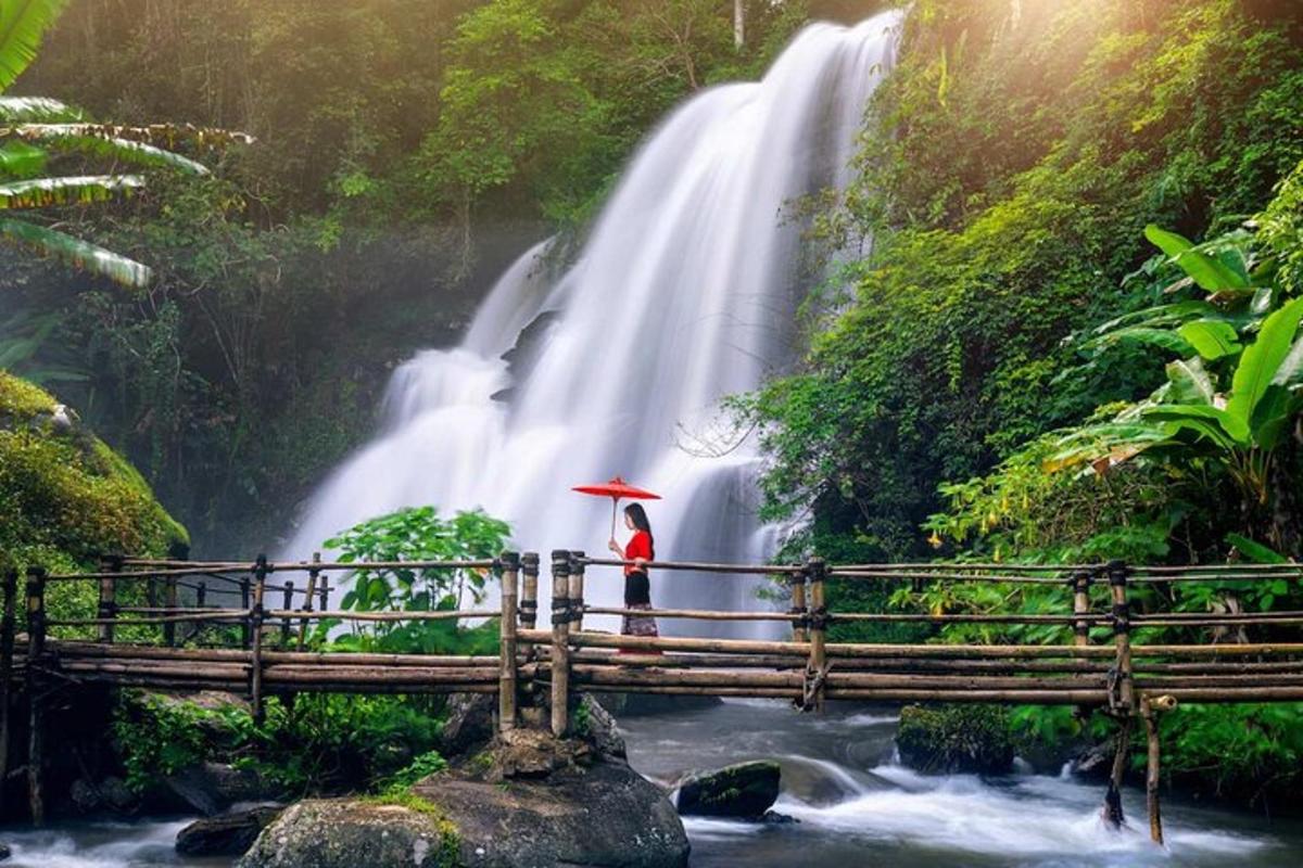 una dona amb un paraigua dempeus en un pont davant d'una cascada