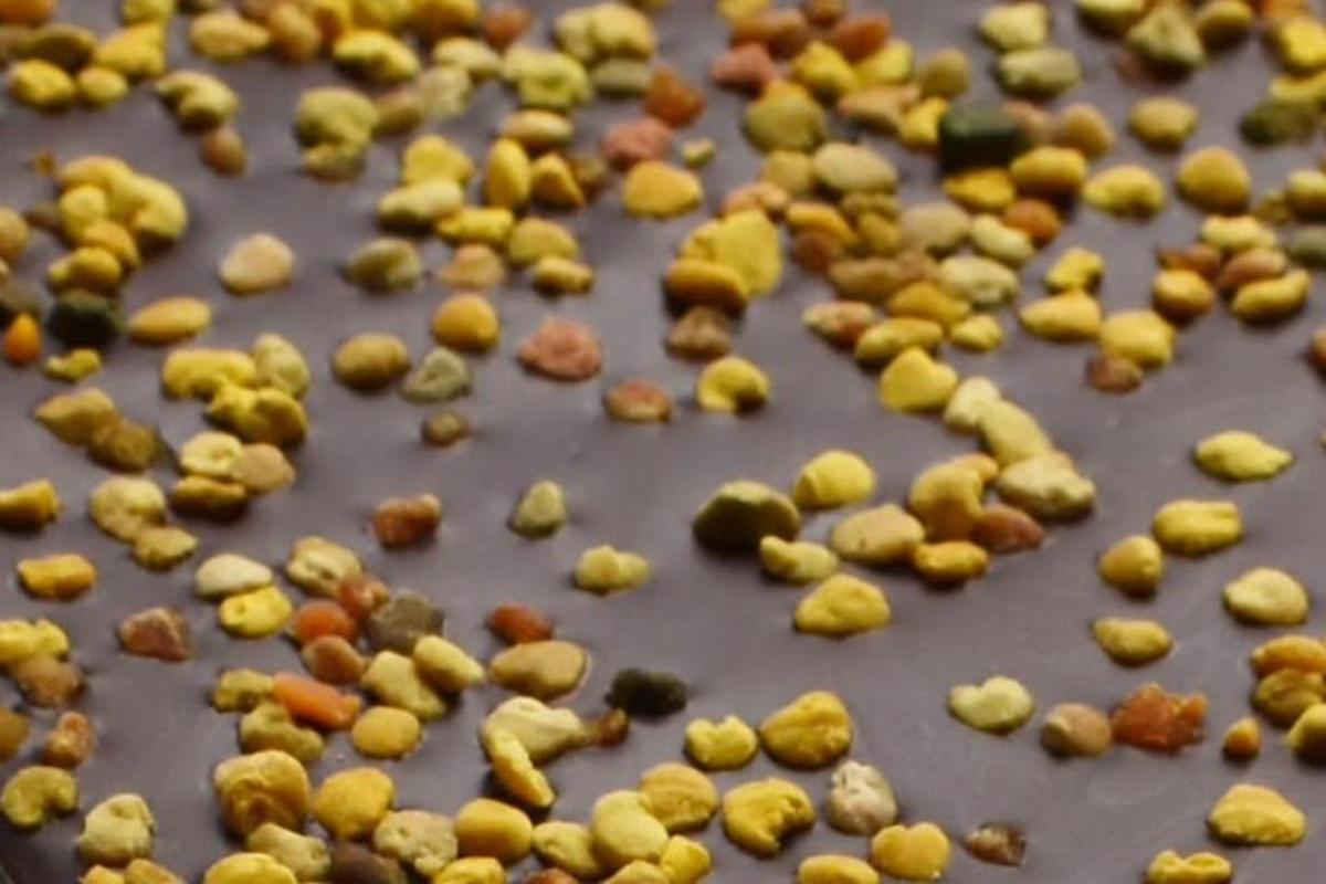 a group of nuts on top of a cookie sheet
