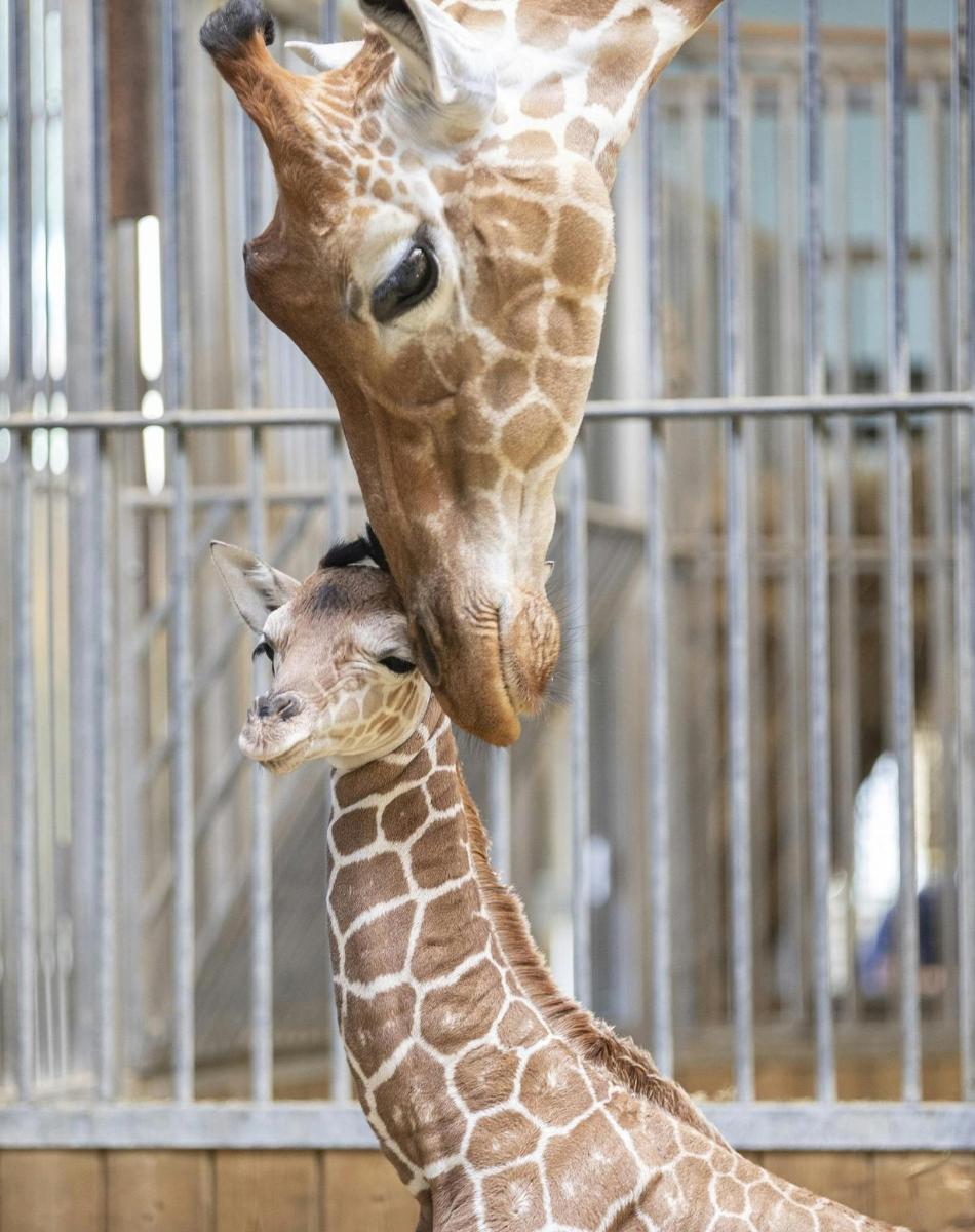 Attraction picture 6