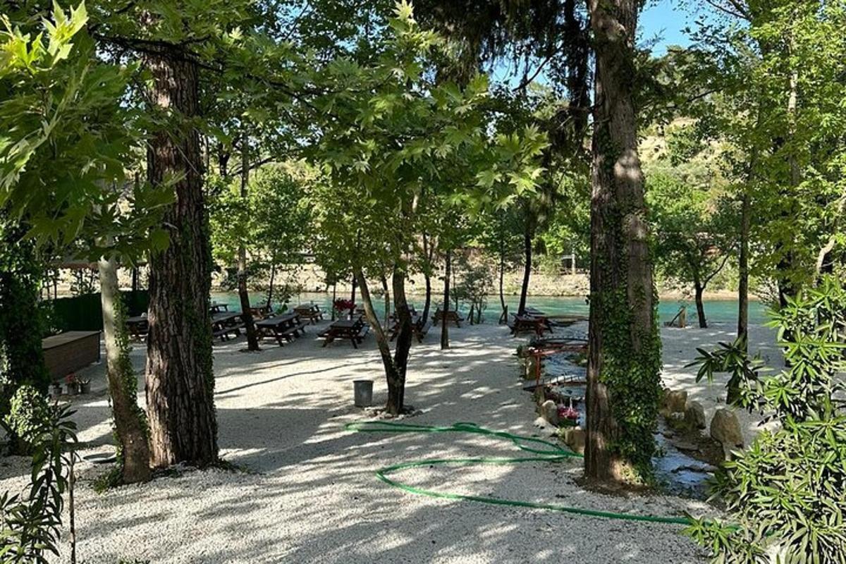 ένα πάρκο με δέντρα και τραπέζια για πικνίκ και ένα πράσινο λάστιχο