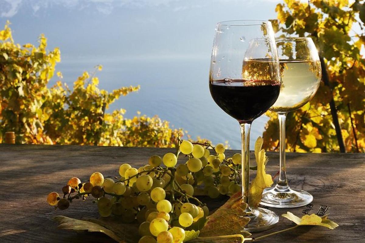 dva kozarca vina na mizi z grozdjem
