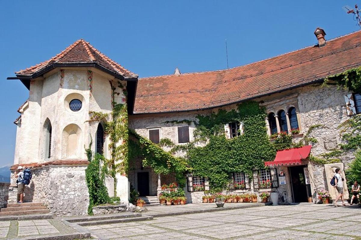 un edificio con l'edera che cresce sul lato