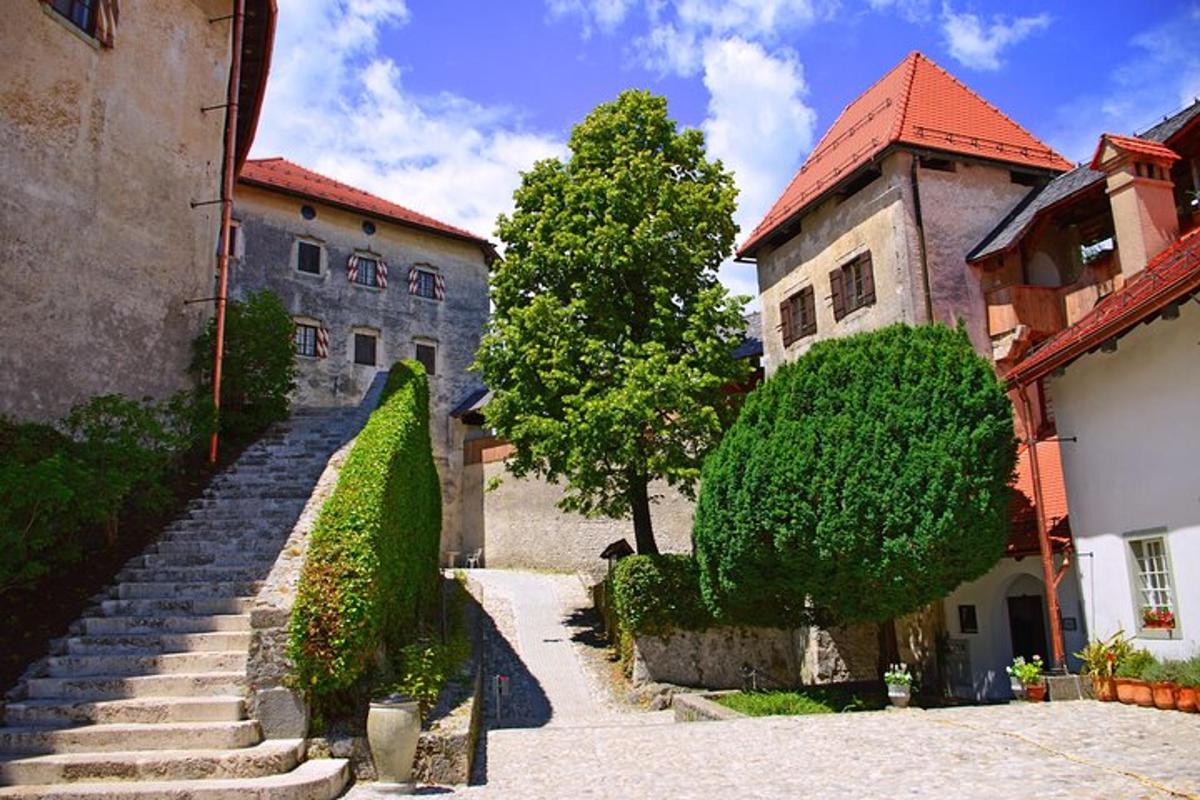 eine Treppe, die zu einem Gebäude mit einem Baum führt