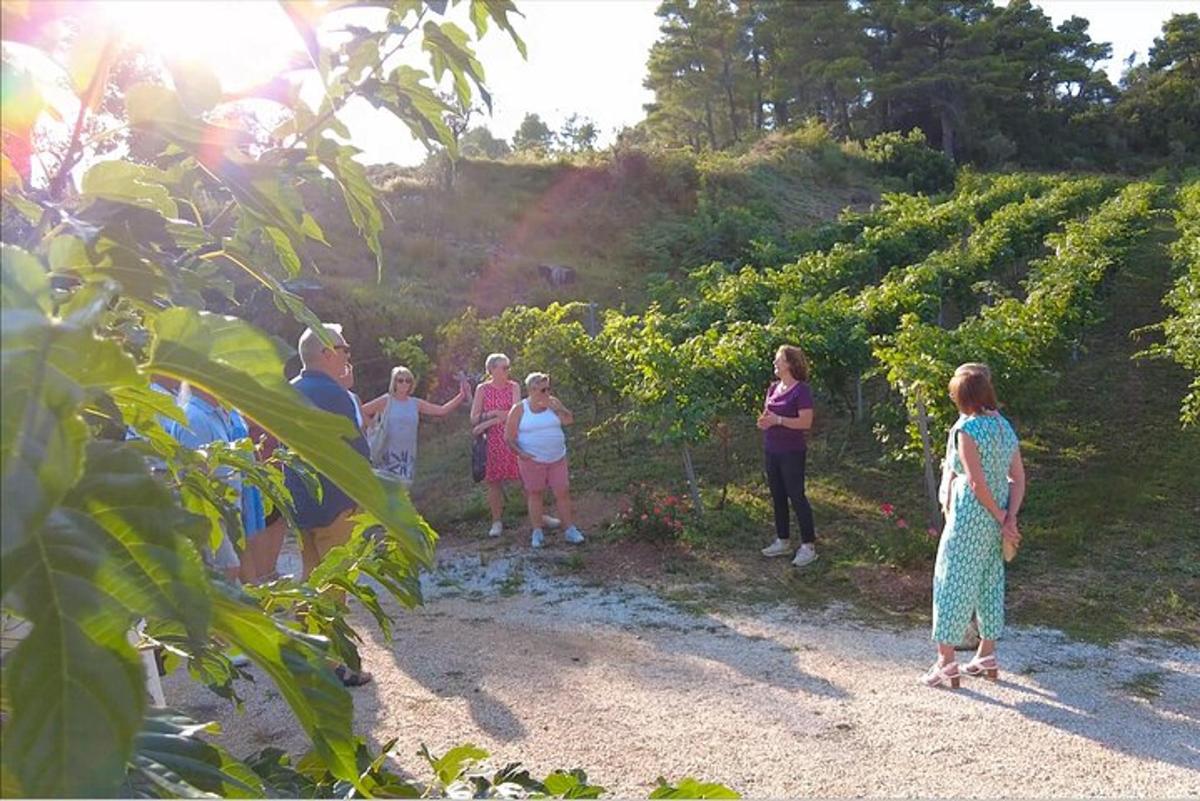 un grup de oameni care stăteau într-o vie
