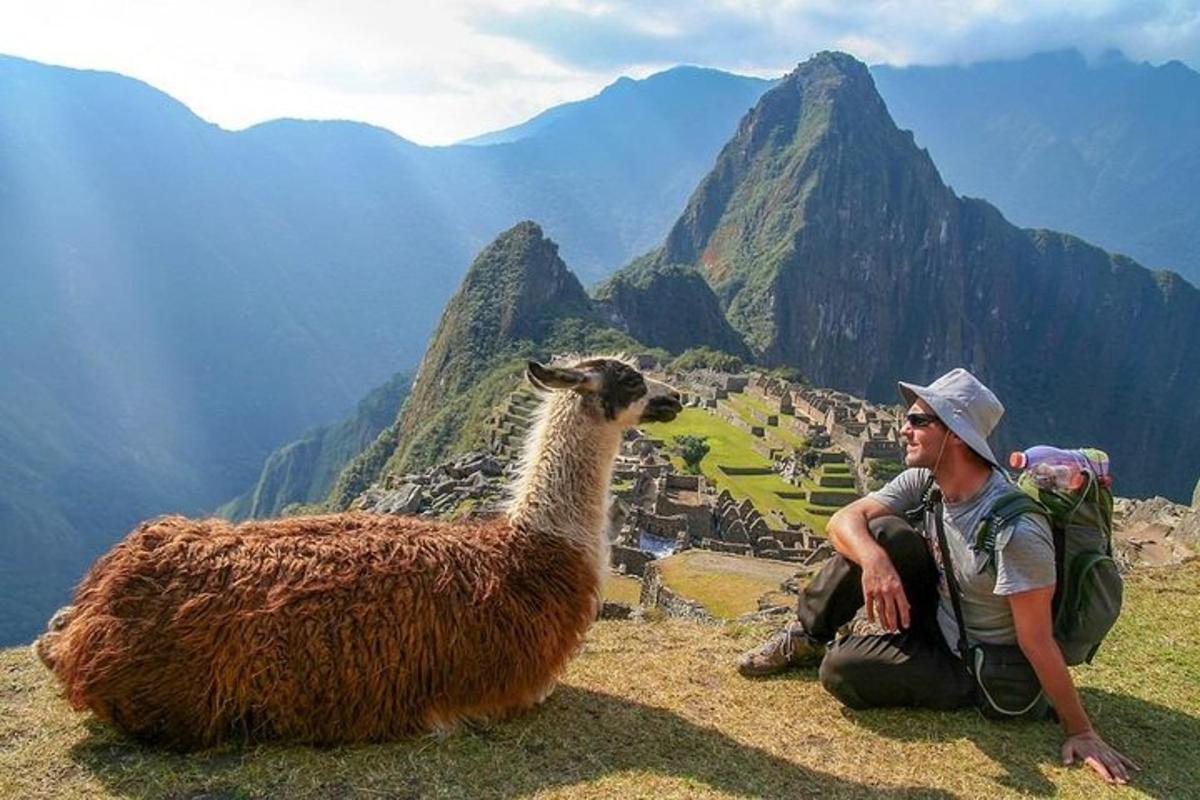 un uomo seduto su una collina accanto a un lama