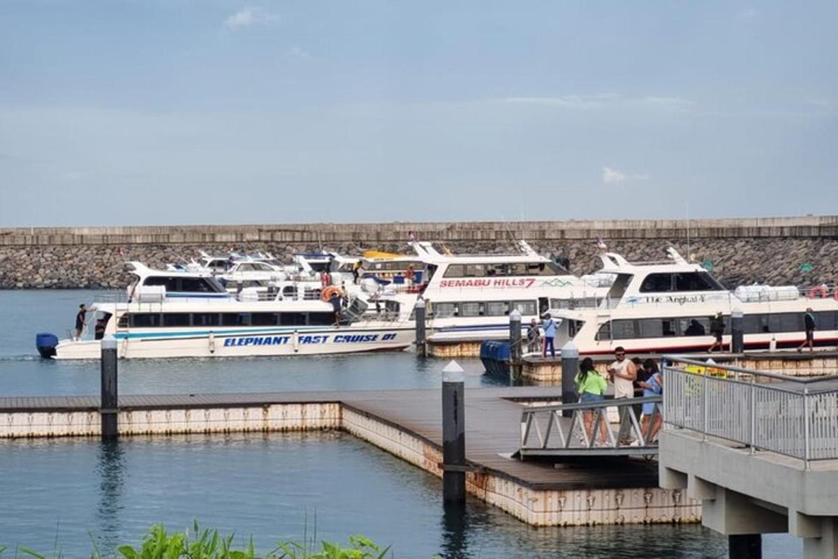 a bunch of boats are docked at a dock